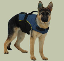 Nylon dog harness for tracking with handle for German Shepherd