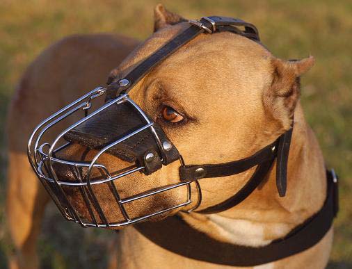 Wire Basket Dog Muzzle for Pitbull