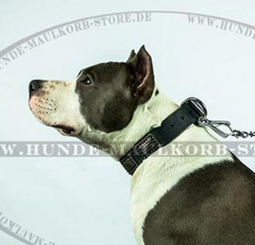 Amstaff ledernes Halsband mit Messing Platten