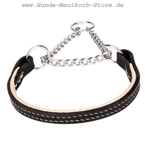 Ledernes Halsband für die Erziehung