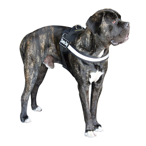 Nylon reflective multi-purpose dog harness for Cane Corso - Click Image to Close
