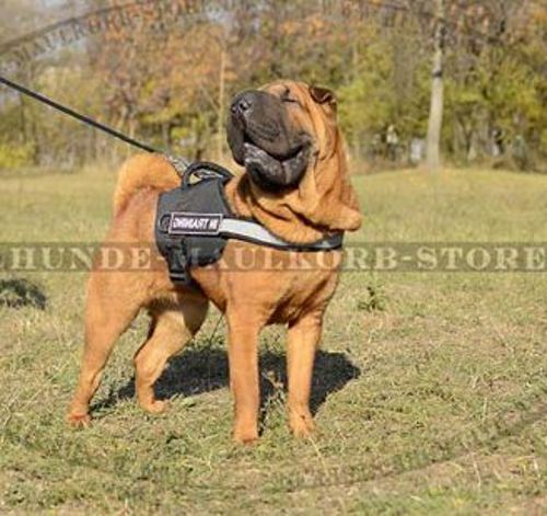 Hundegeschirr mit Reflektierendem Band für Shar-Pei