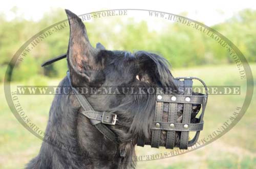 Giant Schnauzer Muzzle Leather Extra Light