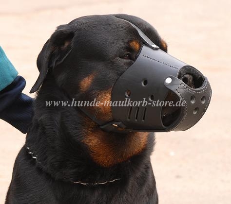 Leder Maulkorb Rottweiler | Ledergepolsterter Hundemaulkorb M51