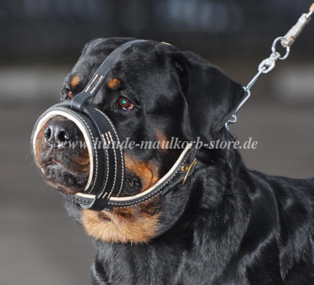 Exklusiver Nappa Maulkorb Rottweiler ✪ ✪