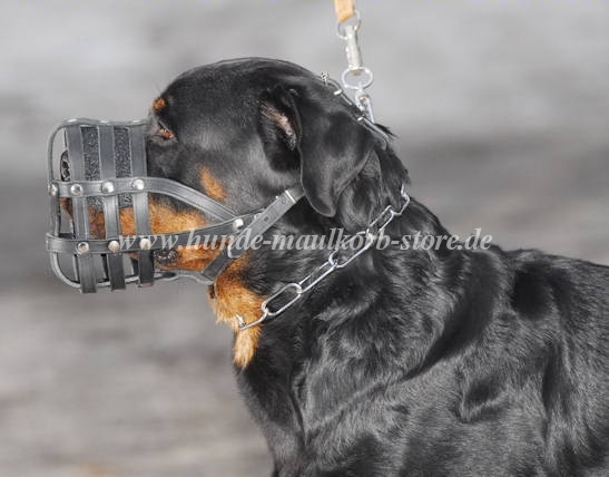 Ledermaulkorb Rottweiler | Leichtgewichter Hundemaulkorb 2020 - zum Schließen ins Bild klicken