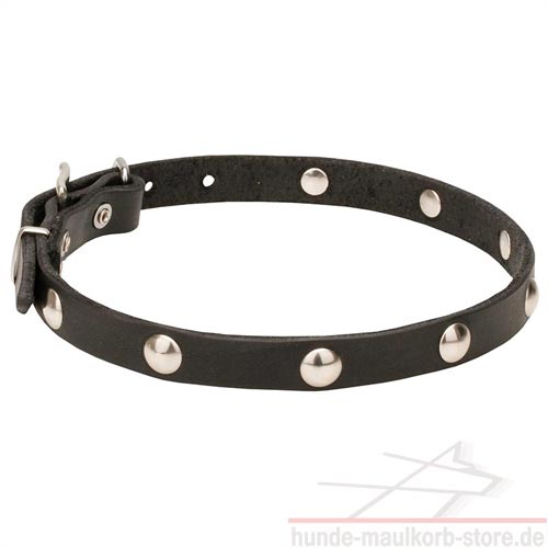 Dog Collar with Ball Like Studs, Designer Leather!