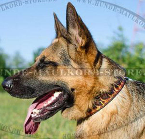 Flamme-Muster Halsband für Deutschen Schäferhund