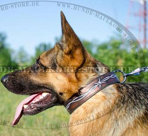 Deutscher Schäferhund Muster Stacheldraht Halsband - zum Schließen ins Bild klicken