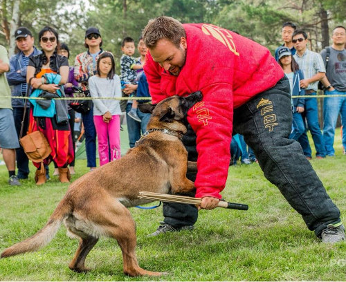 Erhvervelse arve last Vollschutzanzug für Schutzhund, Mondioring und French Ring [PBS6#1055  Vollschutzanzug] : Der Maulkorb, Hundemaulkorb, Beisskorb, Beisskorb,  Drahtmaulkorb und Ledermaulkorb vom Hersteller, Der Maulkorb Leder und  Draht, Hundemaulkorb | Beisskorb vom ...