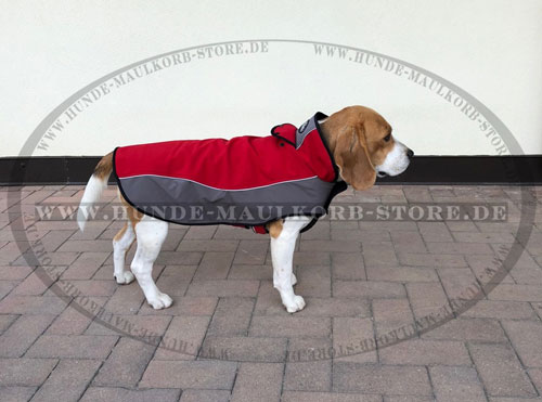 Warmes Hundegeschirr für Beagle mit Fleece, warmbeständig