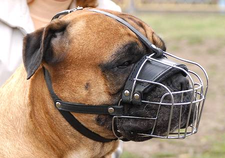 Drahtmaulkorb für große Hunderassen, Bullmastiff