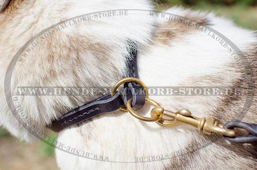 Zughalsband aus Fettleder für Jagdhunde und Schlittenhunde