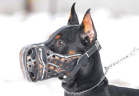"Barbed Wire" Hand painted leather dog muzzle