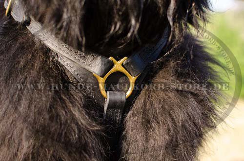 Best Leather Dog Harness Newfoundland H3