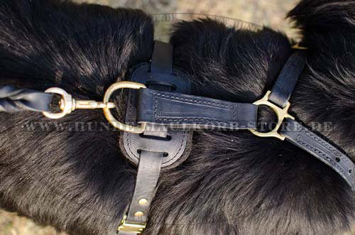 Durable Leather Dog Harness Newfoundland H3