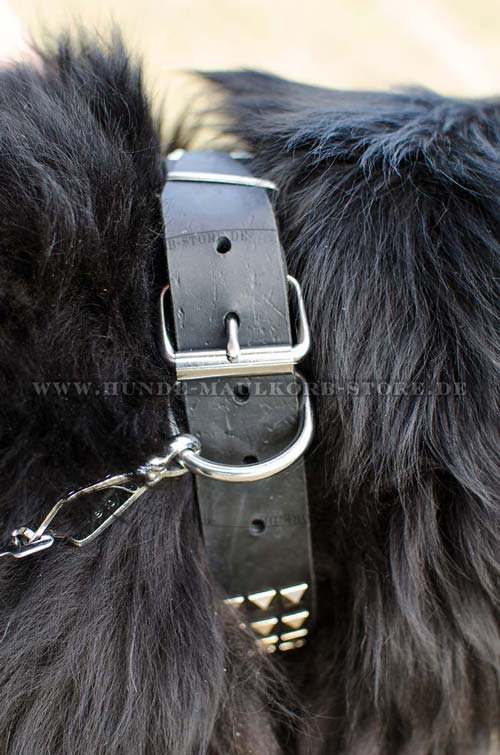 Newfoundland dog collar for walking S45