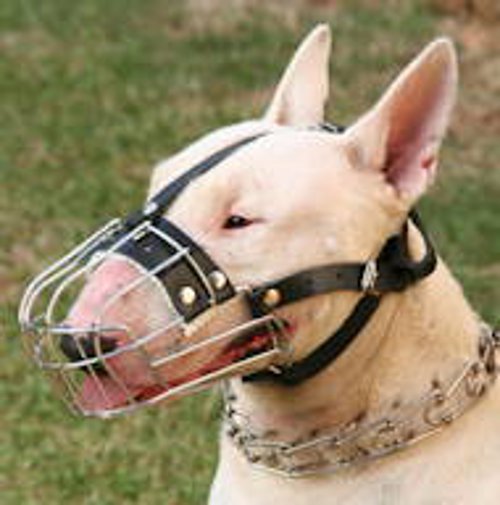 Drahtmaulkorb für Bullterrier Hunderassen | Bester Hund Maulkor - zum Schließen ins Bild klicken