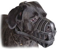 M41 Light leather dog muzzle