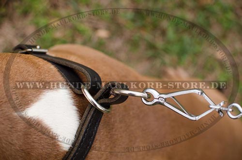 Lederhalsband für Hundeerziehung verstellbar