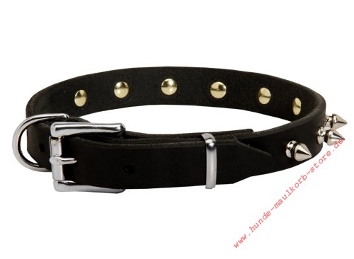 Feines Lederhalsband mit Spikes für Französiche Bulldogge