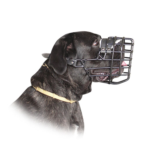 Basket Dog Muzzle, covered by black rubber for Cane-corso