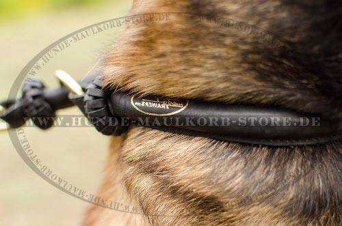Hundehalsband Rundes Leder für Erziehung der Schäferhunde