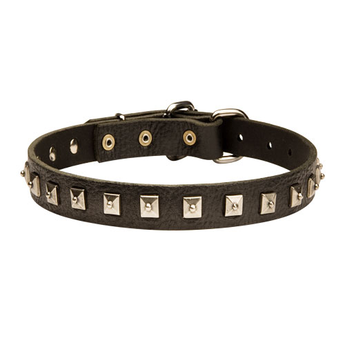 hundehalsband leder