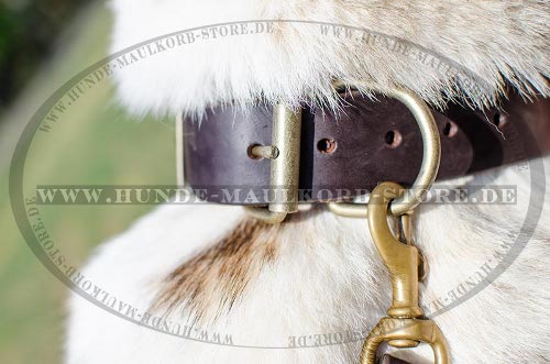 Fettleder-Halsband mit Nieten für Husky und Laika