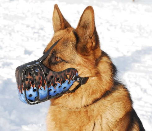 Painted muzzle for German Shepherd