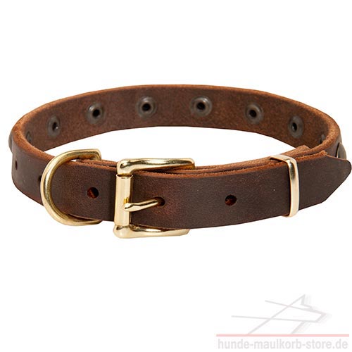 leather collar buy now c113