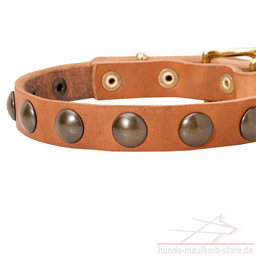 hundehalsband leder für kleine hunderassen C113