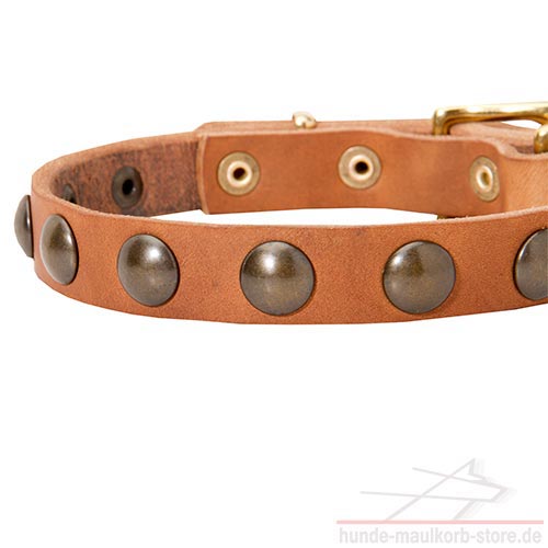 leather collar for small dog breeds c113