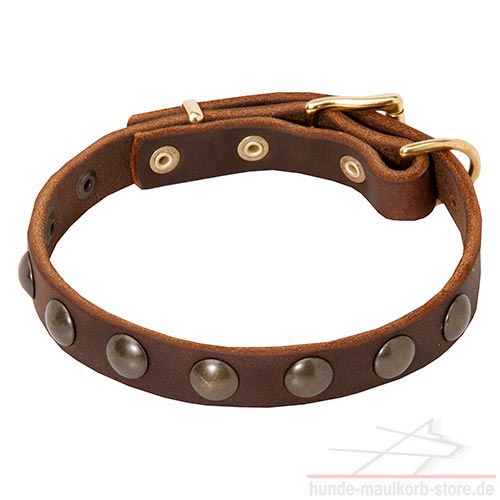 dog collar leather for small breeds c113