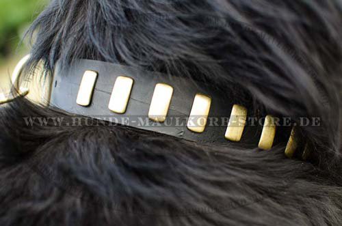 Newfoundland Leather Dog Collar S26