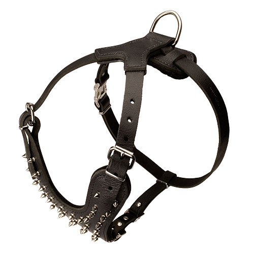 Exklusives Brustgeschirr aus starkem Leder mit Spikes Dekor