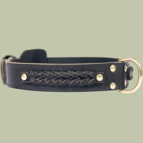 Leder Halsband