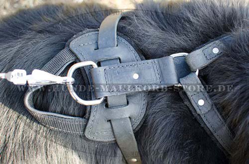 Leather Dog Harness Newfoundland H1