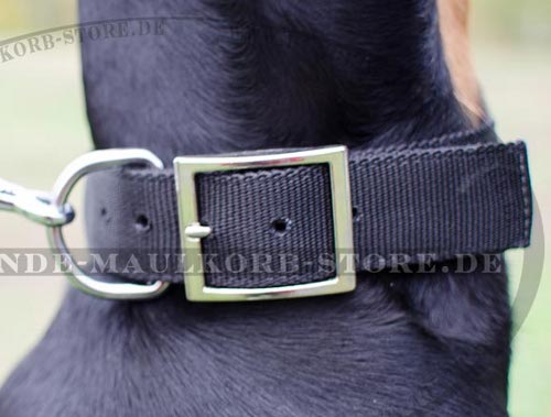 Hundehalsband Nylon für Dobermann, für Sport