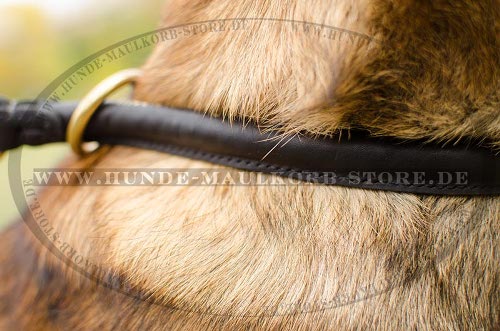 Hundehalsband Leder Rund für Schäferhundeerziehung