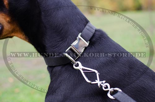Hundehalsband mit Schnellverschluss für Doberman