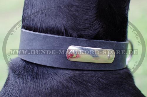 Hundehalsband mit Namensplatte für Dobermann