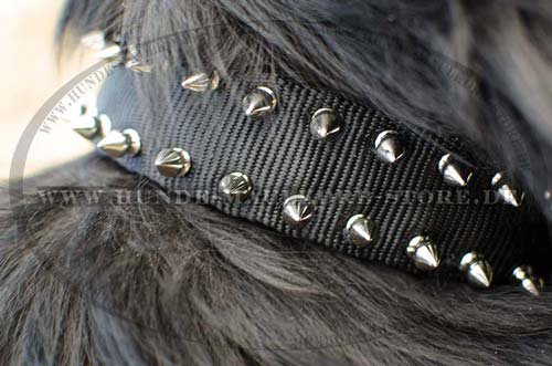 Nylon Dog Collar with Spikes Newfoundland S44