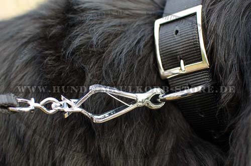 Neufundland Nylonhalsband für Hunde mit Spikes S33N