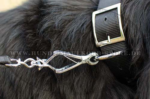 Newfoundland Nylon Dog Collar for Walks S33N