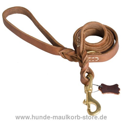 Professionelle Leine 2 cm breit Leder mit Messingkarabiner