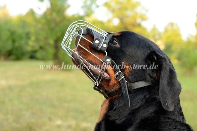 Rottweiler Drahtmaulkorb ❥