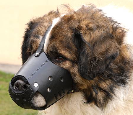 Leather Muzzle M51