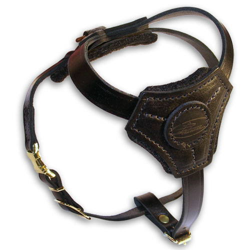 Leather walking dog harness for puppys and small breeds - Click Image to Close