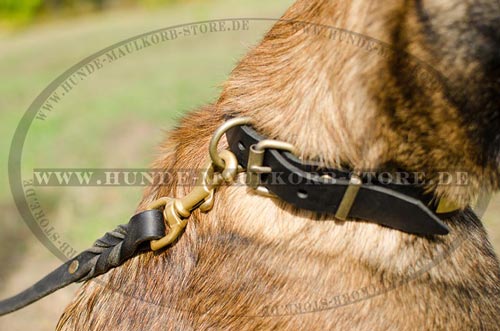 Leder Hundehalsband für Malinois mit Messing-Platten